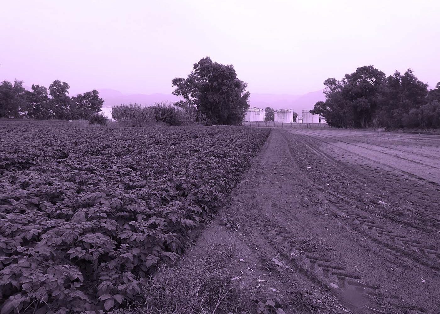Land Area in Kalamata